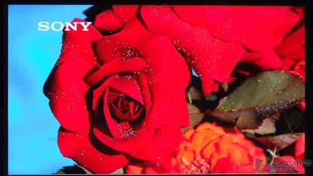 BRAVIA(qing)ݳ u40XŞҺTV