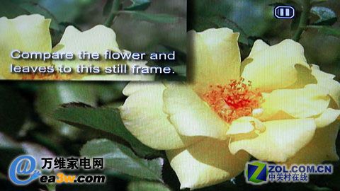 海爾 L42A9-A液晶電視HQV主觀測(cè)試參考圖片-噪聲表現(xiàn)