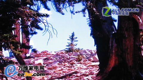 海爾 L42A9-A液晶電視HQV主觀測(cè)試參考圖片-噪聲表現(xiàn)
