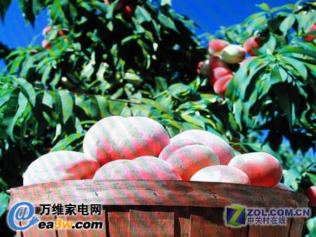 明基 VA421高質(zhì)量圖片實(shí)拍