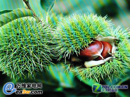 明基 VA421高質(zhì)量圖片實(shí)拍