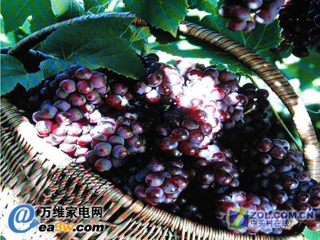 明基 VA421高質(zhì)量圖片實(shí)拍