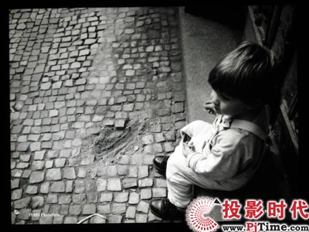 cŴLEDͶӰCSP-P310ME