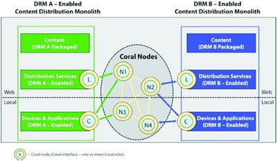 D5Coral(lin)DRMӹ(ji)c(din)