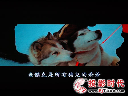 cŴWDa1080pͶӰCHD803 DVDЧ