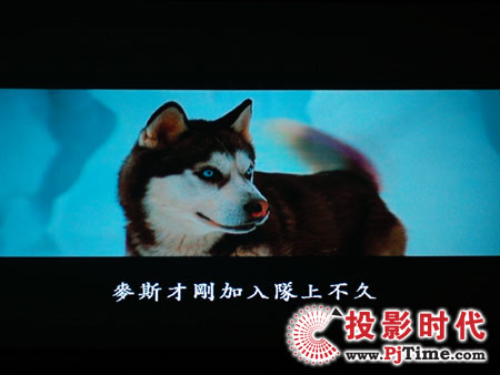 cŴWDa1080pͶӰCHD803 DVDЧ