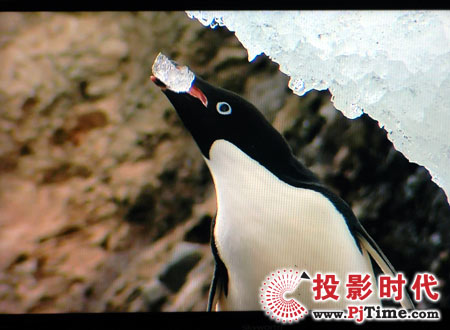 cŴ(chung)SҺҕ42L02RF{Ч