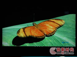 點(diǎn)擊放大