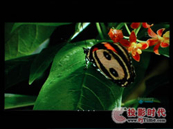 點(diǎn)擊放大