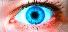z|(zh)!ķd1080přCuy 