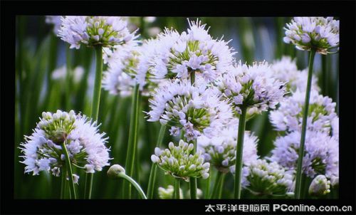 WDaHD82ӰԺ1080PͶӰC(j)uy