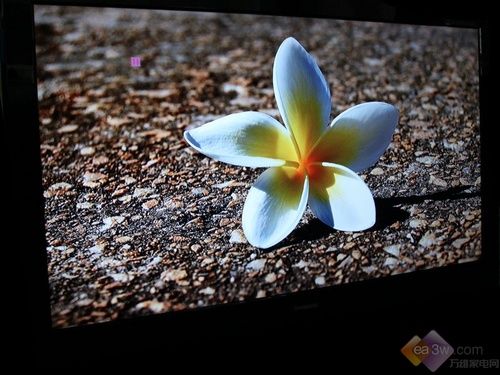 樂教家族添新丁 長(zhǎng)虹LT52720F液晶首測(cè)
