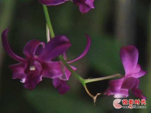 (qing)C(j) LX-5280̄(w)ͶӰC(j)u(png)y(c)