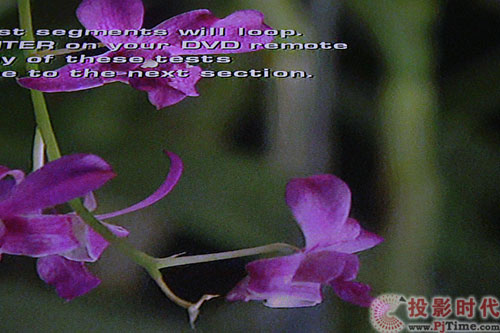 ~(y)cƿԼã(yu)VPW5015T 50|@ʾu(png)y(c)_HQVҕly(c)ԇ