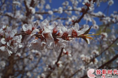 Сߴ 곞U5200̽ͶӰלy(c)_o(w)PCʾcęny(c)ԇ