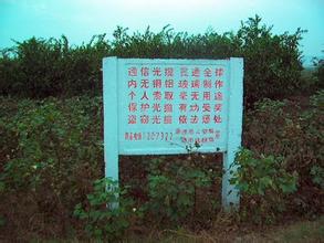 ҕc(din)xҕ(bio)(zhn)u(mi)ƠҪֵX(qin)