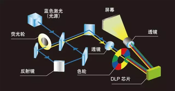 M(yng)DLP⹤̙C(j)TCP-WL6000U