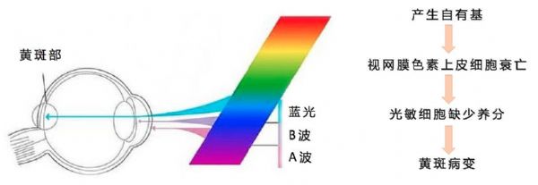 (c)˹gŵ҂(c)LED