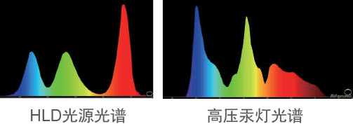_(ki)W(xu)ҕ(li)HLDͶӰC(j)̌W(xu)