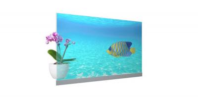 ǰʽl(f)TP-55ZT110TP-55ZT100͸OLED@ʾ