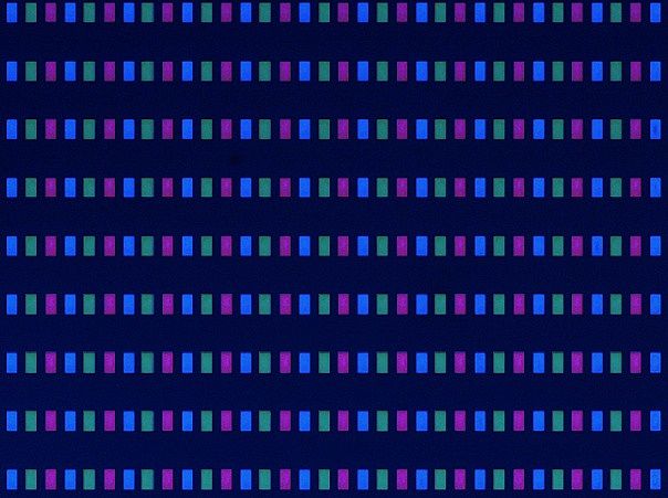 ycg(sh) | ǹMicro LEDM