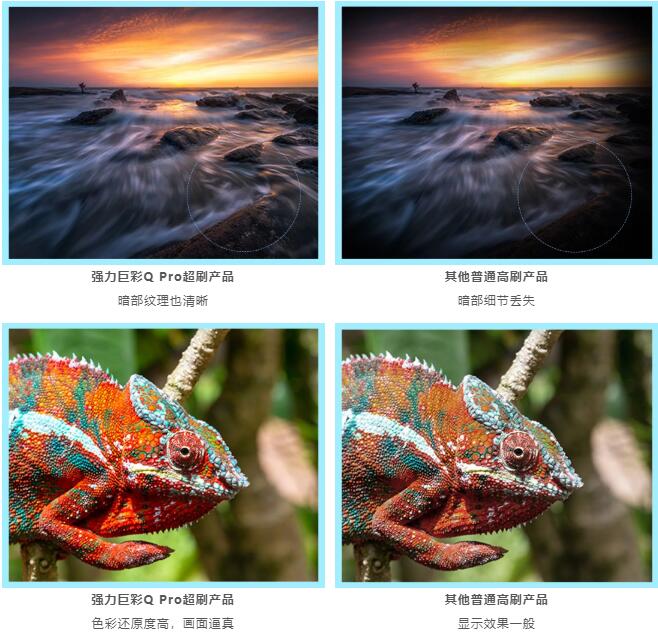 W(wng)j(lu)ֱx(qing)޲Q Pro