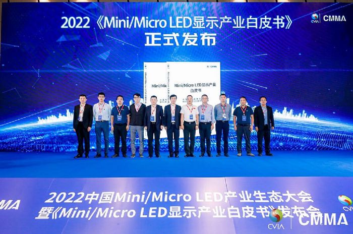 2022Mini/Micro LED@ʾa(chn)I(y)Ƥ(sh)ʽl(f)@ʾ(qing)(gu)O(sh)