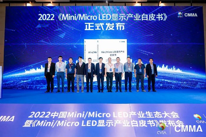 ³ϯ2022ЇMini/Micro LEDa(chn)I(y)B(ti)