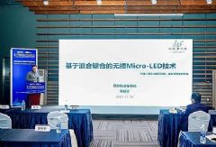 2024꣬Micro LED΢@ʾٰl(f)չ