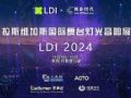 2024(gu)_(ti)չLDI2024(zhun)}